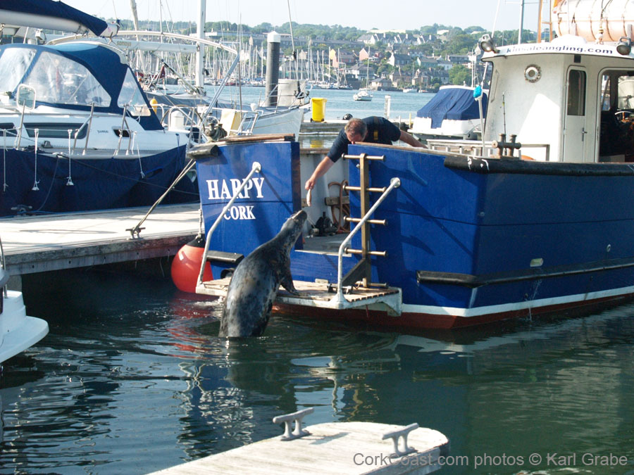 KG113218 charlie kinsale seal