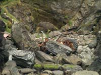 KG265275 tractor nr oysterhaven