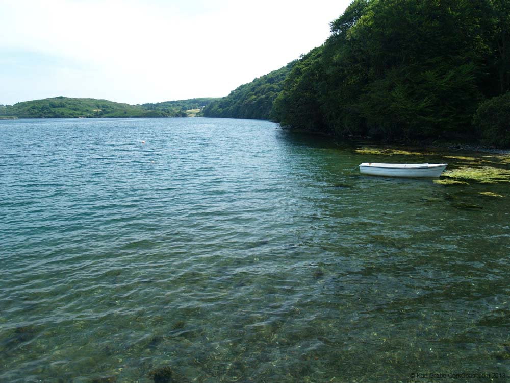 KG184417 Lough Hyne shore
