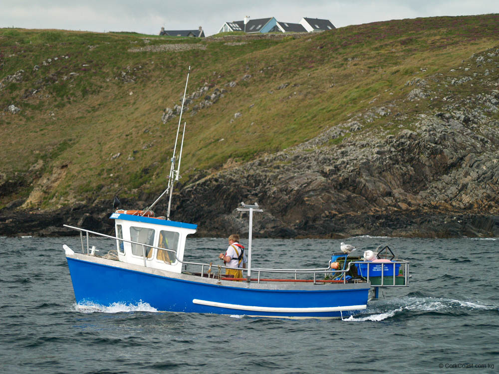 KG290488n fishing boat seagull dunworly west