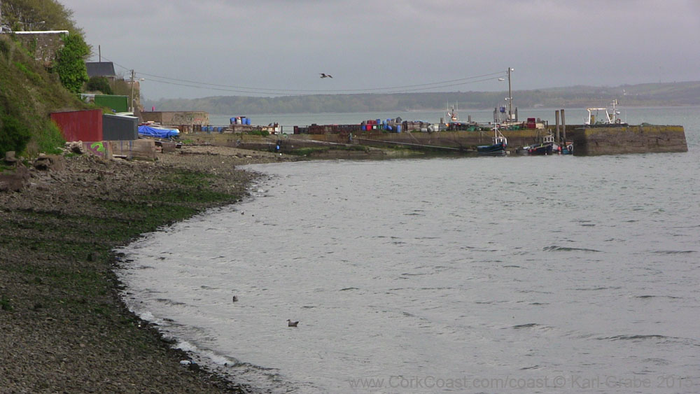 IMG_3826 2015 Cobh Cove Fort