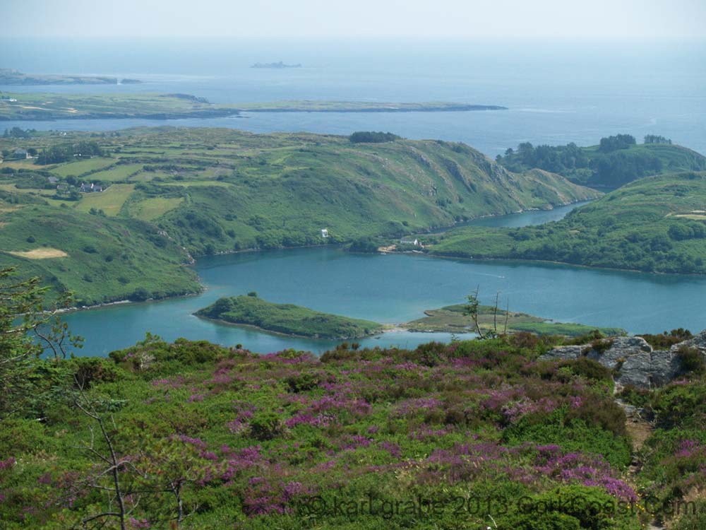 KG184416 Lough Hyne Stags in Background