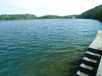 KG184418 Lough Hyne shore