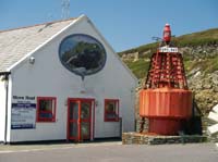 KG093087 mizen hd cork