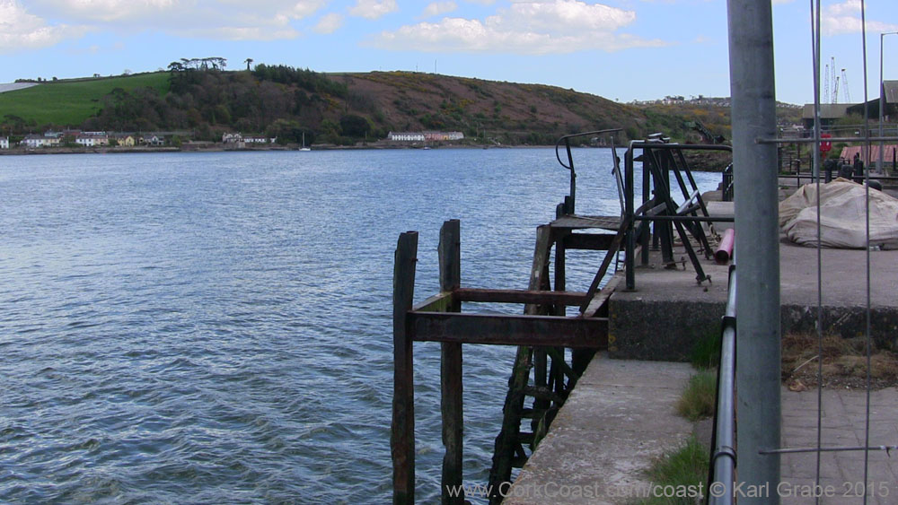 IMG_3677 2015 Passage West