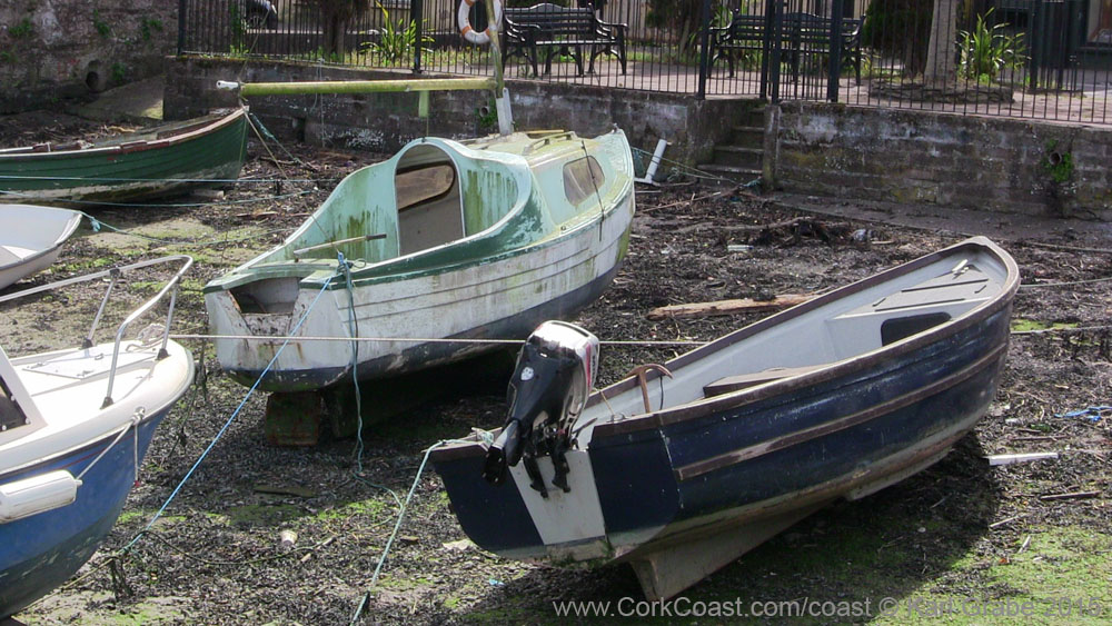 IMG_3682 2015 Passage West