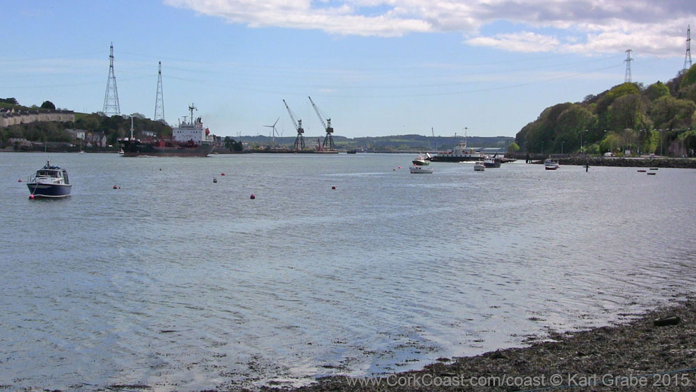 IMG_3716 2015 Passage West