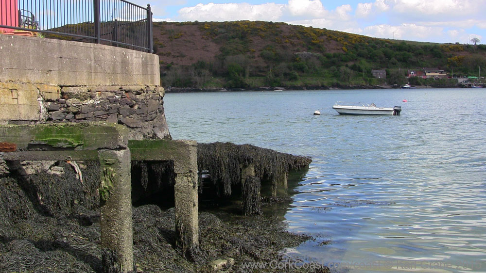 IMG_3718 2015 Passage West