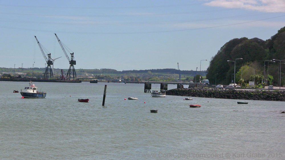 IMG_3724 2015 Passage West