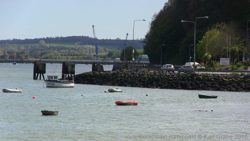 IMG_3725 2015 Passage West
