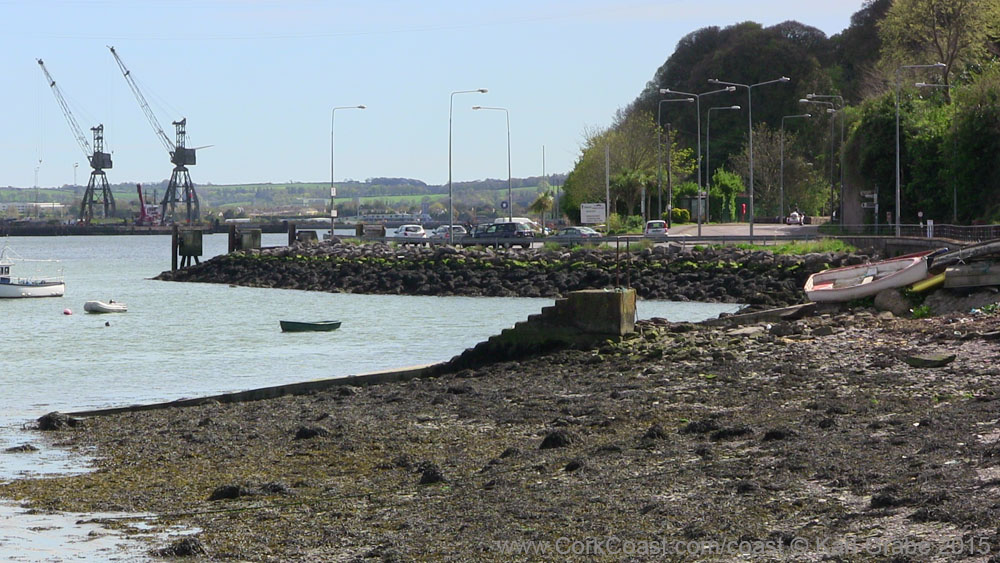 IMG_3726 2015 Passage West