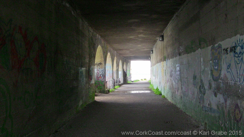 IMG_3746 2015 Monkstown tunnel