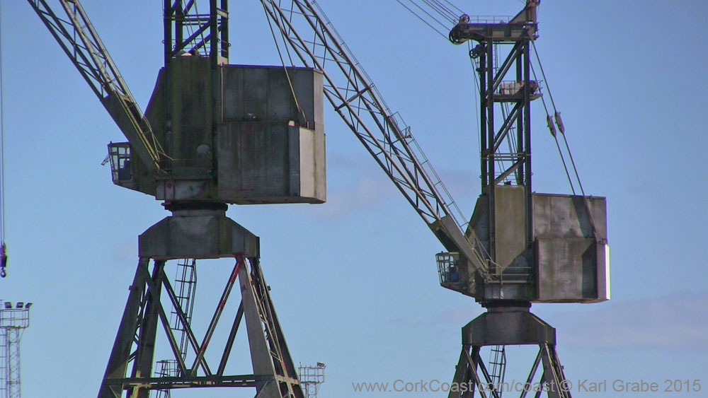 IMG_3750 2015 verolme cranes