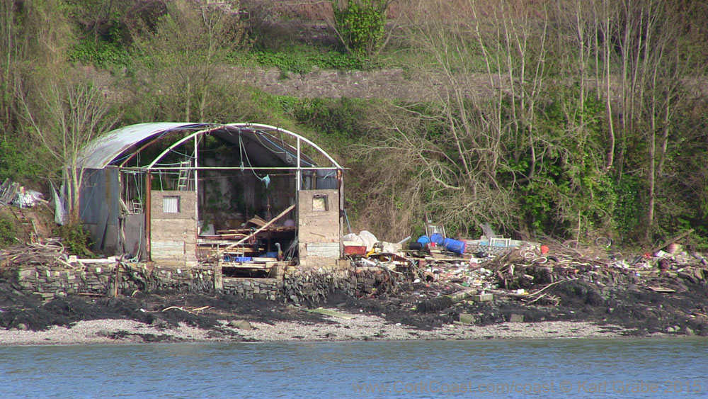 IMG_3774 2015 Passage West