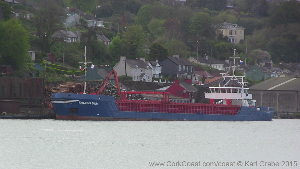 IMG_3886 2015 Passage West Amadeus Gold