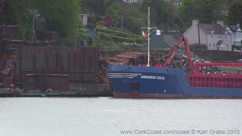 IMG_3887 2015 Passage West