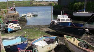 IMG_3684 2015 Passage West