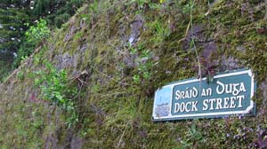 IMG_3706 2015 Passage West