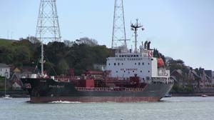 IMG_3717 2015 Passage West stolt egret