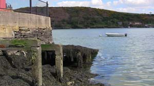 IMG_3718 2015 Passage West