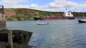 IMG_3723 2015 Passage West