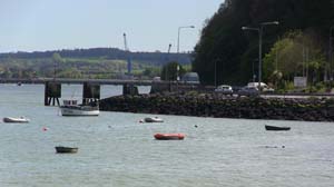 IMG_3725 2015 Passage West