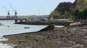 IMG_3726 2015 Passage West