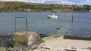 IMG_3729 2015 Passage West