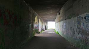 IMG_3746 2015 Monkstown tunnel