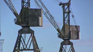 IMG_3750 2015 verolme cranes