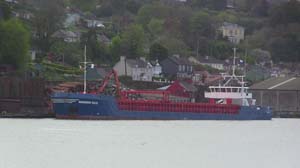 IMG_3886 2015 Passage West Amadeus Gold