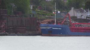 IMG_3887 2015 Passage West