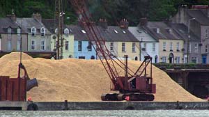 IMG_3890 2015 Passage West Royal Victoria Dockyard