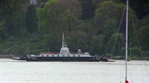 IMG_3892 2015 Passage West