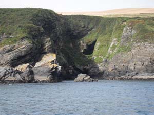 SDC10451 near Sandy Cove